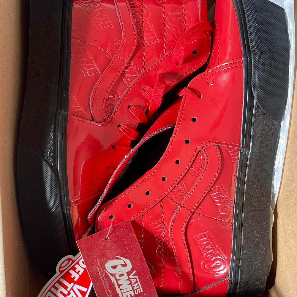 Vans X David Bowie: Sk8-Hi Platform 2 Ziggy Stardust, BNIB NWT
